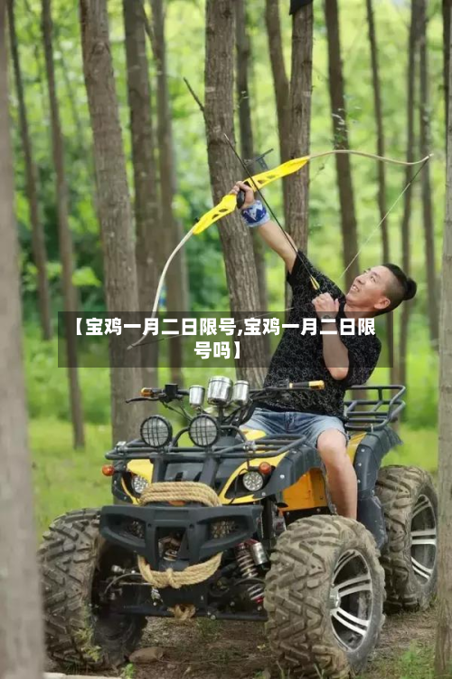 【宝鸡一月二日限号,宝鸡一月二日限号吗】-第1张图片