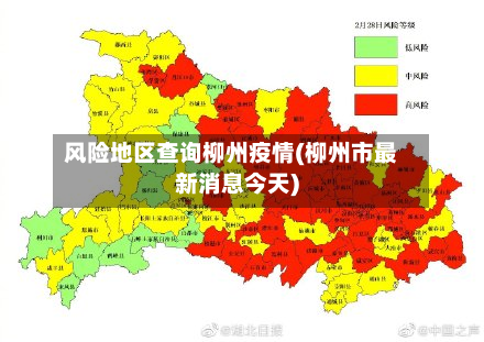 风险地区查询柳州疫情(柳州市最新消息今天)-第1张图片
