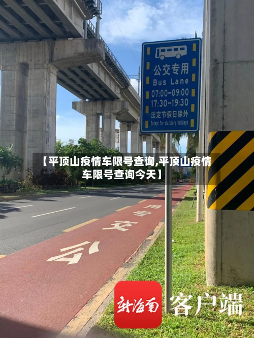 【平顶山疫情车限号查询,平顶山疫情车限号查询今天】-第1张图片