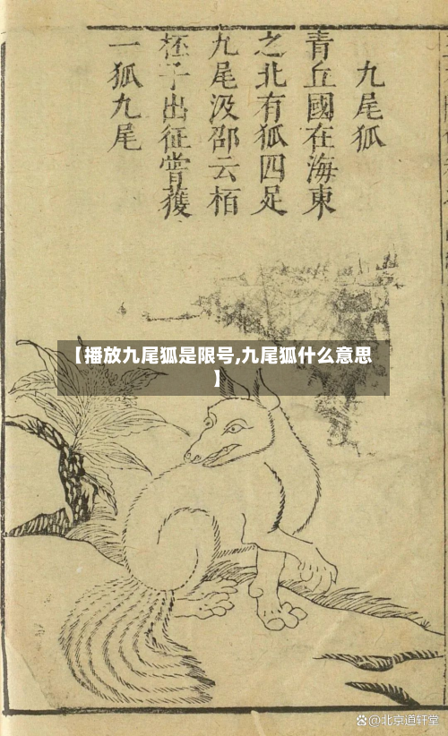 【播放九尾狐是限号,九尾狐什么意思】-第1张图片