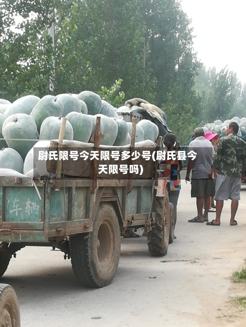 尉氏限号今天限号多少号(尉氏县今天限号吗)-第1张图片