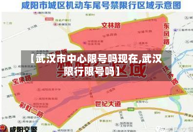 【武汉市中心限号吗现在,武汉限行限号吗】-第1张图片