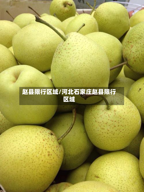 赵县限行区域/河北石家庄赵县限行区域-第1张图片