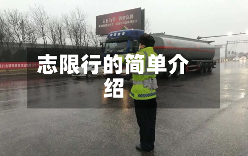 志限行的简单介绍-第1张图片