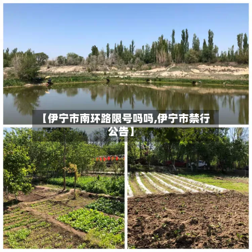 【伊宁市南环路限号吗吗,伊宁市禁行公告】-第1张图片