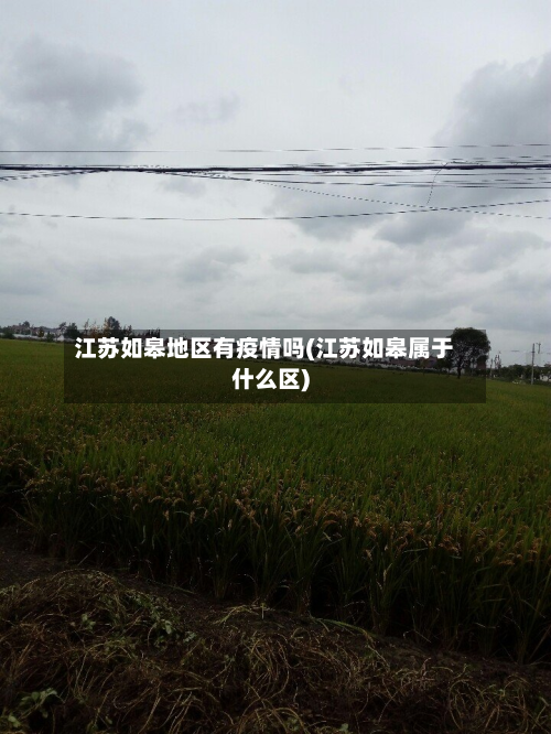 江苏如皋地区有疫情吗(江苏如皋属于什么区)-第1张图片