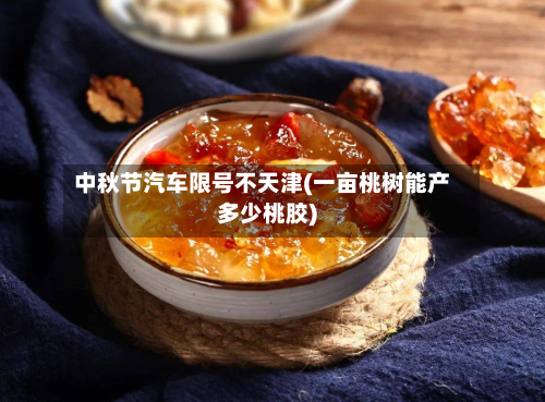 中秋节汽车限号不天津(一亩桃树能产多少桃胶)-第1张图片