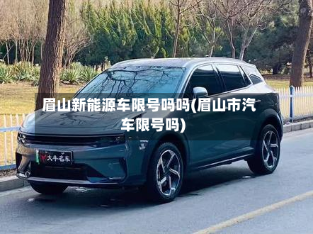 眉山新能源车限号吗吗(眉山市汽车限号吗)-第1张图片