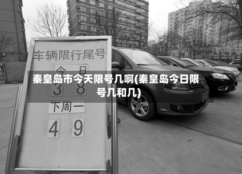秦皇岛市今天限号几啊(秦皇岛今日限号几和几)-第1张图片