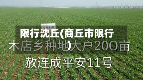 限行沈丘(商丘市限行)-第1张图片