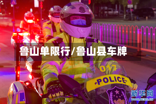 鲁山单限行/鲁山县车牌-第1张图片