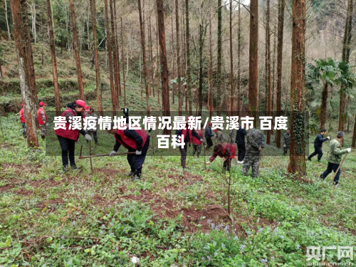 贵溪疫情地区情况最新/贵溪市 百度百科-第1张图片