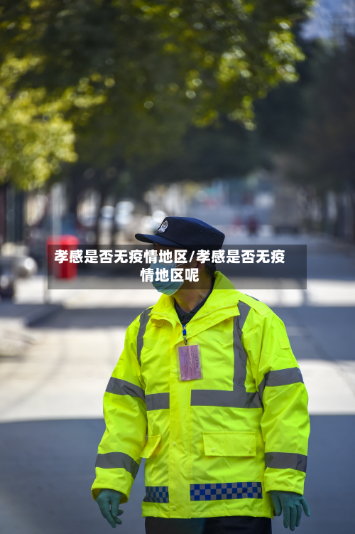 孝感是否无疫情地区/孝感是否无疫情地区呢-第1张图片