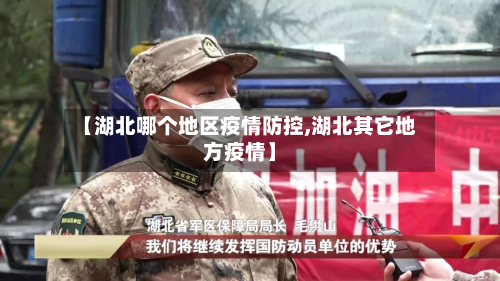 【湖北哪个地区疫情防控,湖北其它地方疫情】-第1张图片