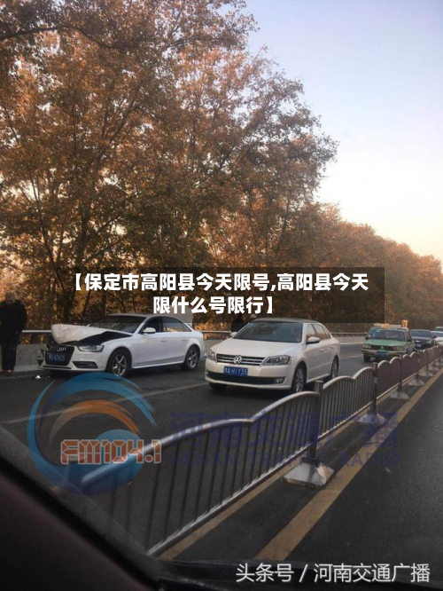 【保定市高阳县今天限号,高阳县今天限什么号限行】-第1张图片