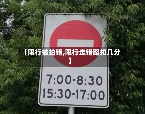 【限行被拍错,限行走错路扣几分】-第1张图片