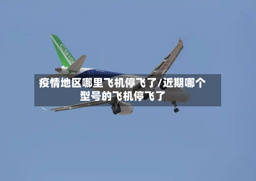疫情地区哪里飞机停飞了/近期哪个型号的飞机停飞了-第1张图片