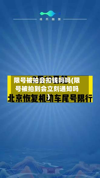 限号被拍会扣钱吗吗(限号被拍到会立刻通知吗)-第1张图片