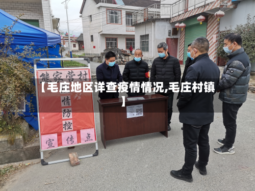 【毛庄地区详查疫情情况,毛庄村镇】-第1张图片