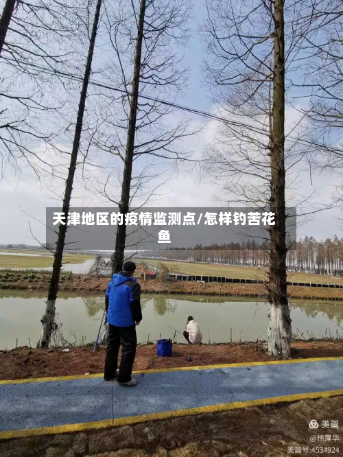 天津地区的疫情监测点/怎样钓苦花鱼-第1张图片