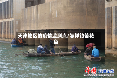 天津地区的疫情监测点/怎样钓苦花鱼-第2张图片