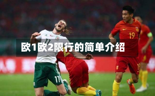 欧1欧2限行的简单介绍-第2张图片