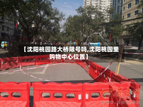 【沈阳桃园路大桥限号吗,沈阳桃园里购物中心位置】-第3张图片