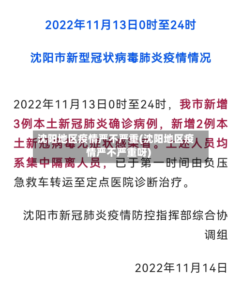 沈阳地区疫情严不严重(沈阳地区疫情严不严重呀)