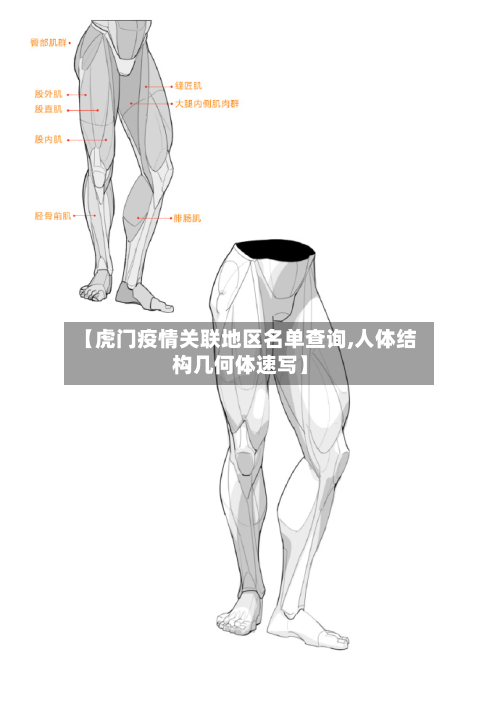 【虎门疫情关联地区名单查询,人体结构几何体速写】-第1张图片