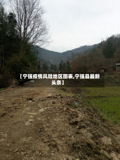 【宁强疫情风险地区图表,宁强县最新头条】-第1张图片