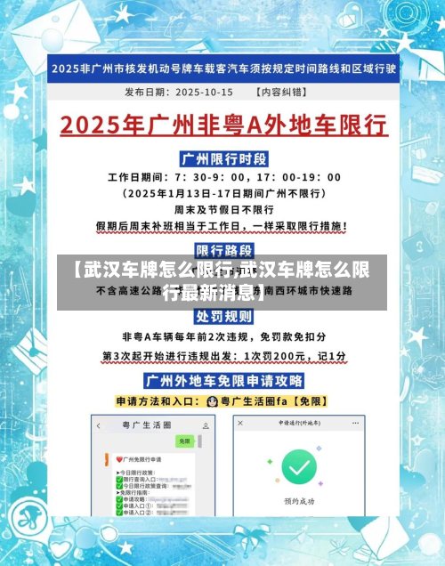 【武汉车牌怎么限行,武汉车牌怎么限行最新消息】-第3张图片