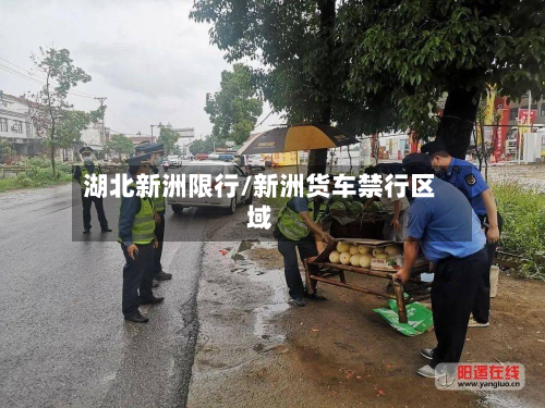 湖北新洲限行/新洲货车禁行区域-第1张图片