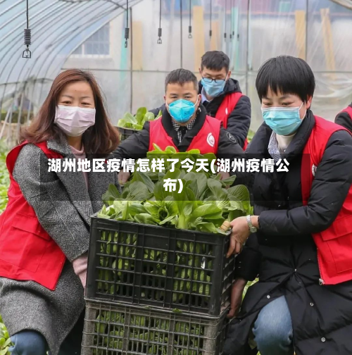 湖州地区疫情怎样了今天(湖州疫情公布)-第1张图片