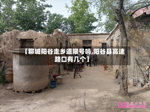 【聊城阳谷走乡道限号吗,阳谷县高速路口有几个】-第1张图片