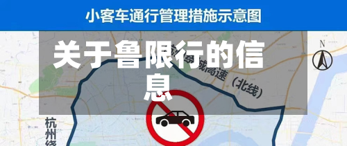 关于鲁限行的信息-第1张图片