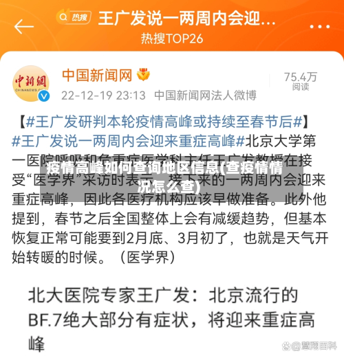 疫情高峰如何查询地区信息(查疫情情况怎么查)-第1张图片