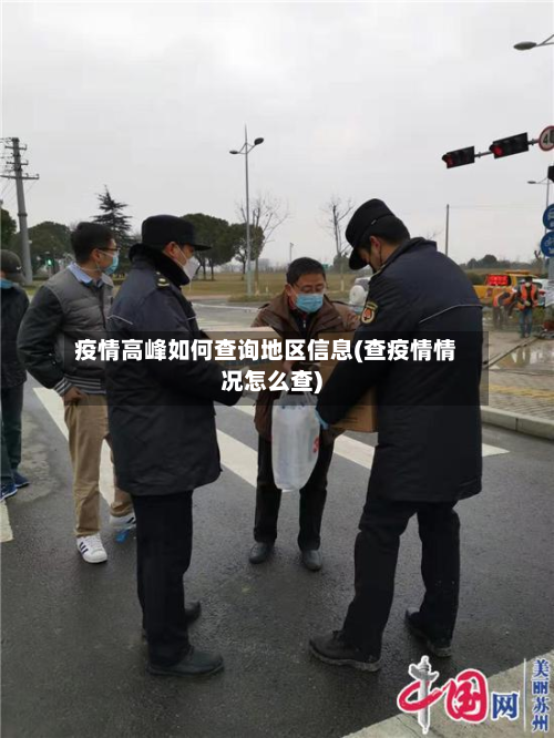 疫情高峰如何查询地区信息(查疫情情况怎么查)-第3张图片