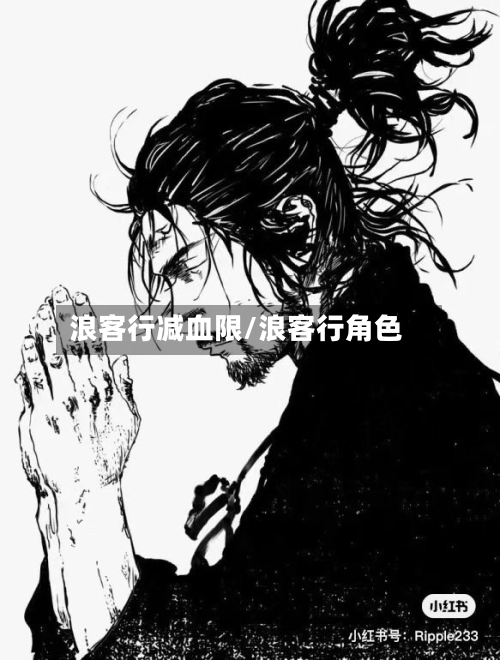 浪客行减血限/浪客行角色-第1张图片