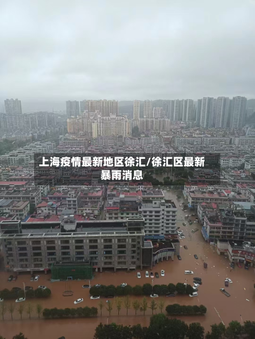 上海疫情最新地区徐汇/徐汇区最新暴雨消息-第1张图片