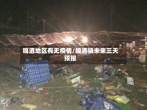 嘎洒地区有无疫情/嘎洒镇未来三天预报-第1张图片
