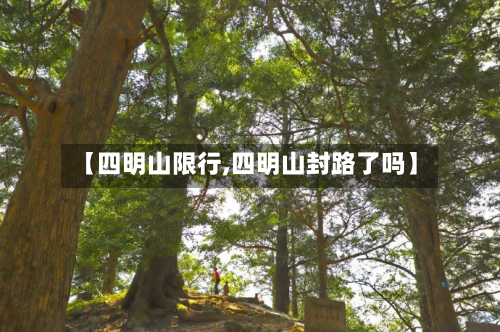 【四明山限行,四明山封路了吗】-第1张图片