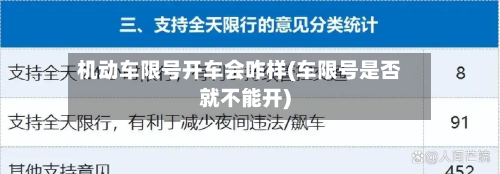 机动车限号开车会咋样(车限号是否就不能开)-第1张图片