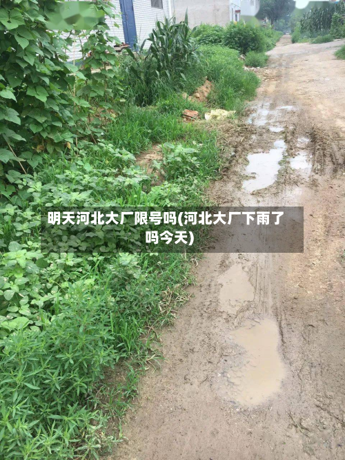 明天河北大厂限号吗(河北大厂下雨了吗今天)-第1张图片