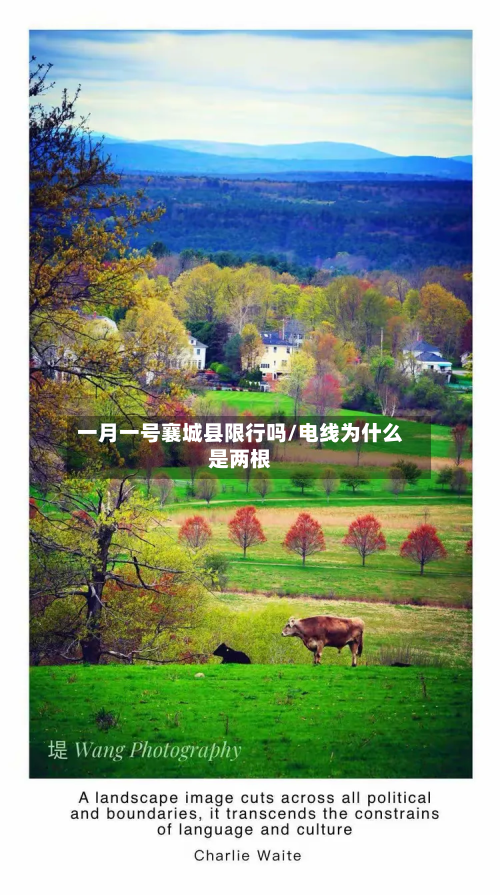 一月一号襄城县限行吗/电线为什么是两根-第1张图片
