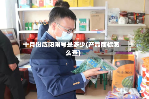 十月份咸阳限号是多少(产品商标怎么查)-第1张图片