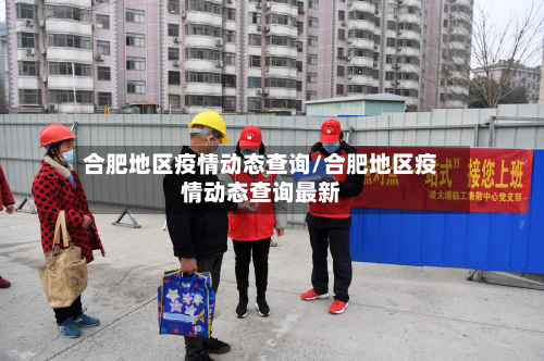 合肥地区疫情动态查询/合肥地区疫情动态查询最新-第1张图片