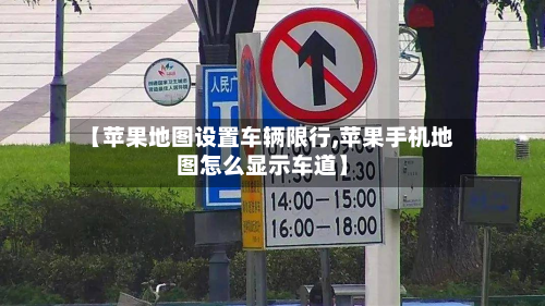 【苹果地图设置车辆限行,苹果手机地图怎么显示车道】-第1张图片
