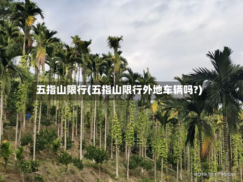 五指山限行(五指山限行外地车辆吗?)-第1张图片
