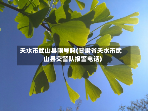 天水市武山县限号吗(甘肃省天水市武山县交警队报警电话)-第1张图片