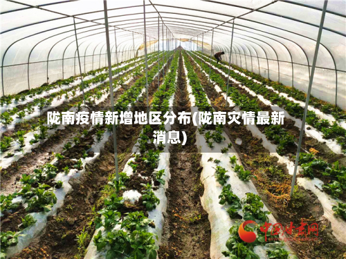 陇南疫情新增地区分布(陇南灾情最新消息)-第1张图片